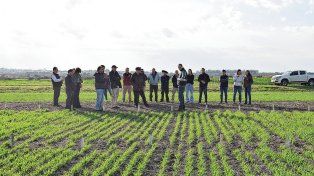 Mediante la integración pública y privada, Entre Ríos impulsa desarrollos científicos que sirvan al campo. Un gran trabajo científico y tecnológico del INTA.