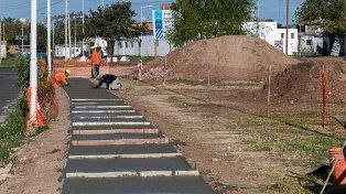 La Municipalidad de Paraná hará una plantación simbólica como parte del Plan de Arbolado Urbano y el El cumpleaños de Paraná este 25 en el Paseo Ituzaingó.