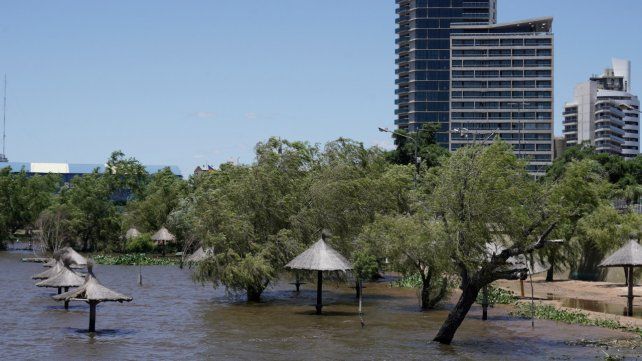 La crecida del Paraná va a recomponer el enorme daño ambiental en los humedales