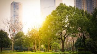 La urgencia y la justicia climática en el corazón de la política climática de Rosario