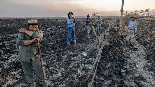 Incendios: estiman las pérdidas en más de $26.000 millones