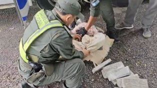 Incautaron 26 kilos de marihuana procedentes de Formosa y que tenían como destino la ciudad de Santa Fe
