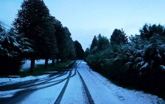 Cómo es el Parque Nacional Los Alerces que fue declarado Patrimonio Natural por la Unesco