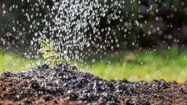 Beneficios de la recolección de agua de lluvia para la agroindustria