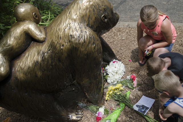 El trágico incidente ocurrió anteayer en el zoo de Cincinnati