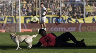 Un simpático intruso detuvo el partido de Central y Tigre durante minutos