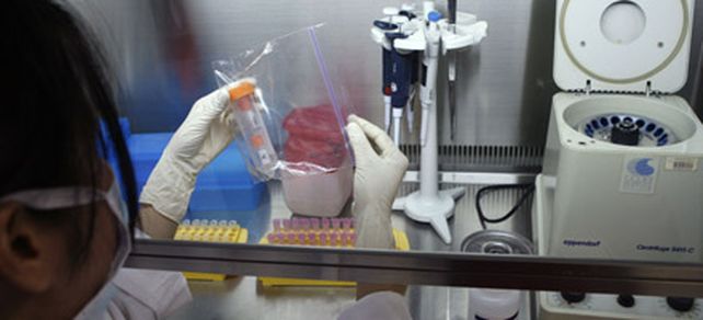 Seg&uacute;n la OMS, los casos de gripe A suman 8.451 y ya hay 72 muertos