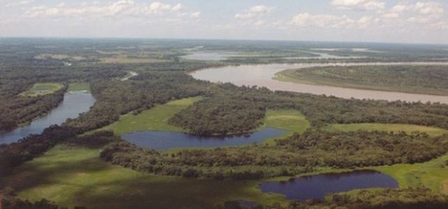 Para protegerlos. Se apunta a que se realice un inventario nacional y de ordenamiento de los humedales.
