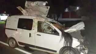 Chubut: chocó a un caballo en la ruta 40 y el animal quedó inscrustado en la camioneta