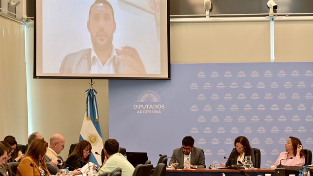 En el marco del debate por la nueva Ley de Alquileres exponene ante Diputados asociaciones de alquileres