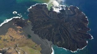 Una isla formada por la erupción de un volcán ofrece un laboratorio natural