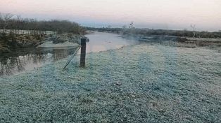 La helada de este martes en imágenes