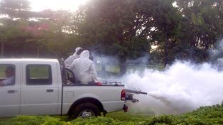 Confirman dos casos de dengue de rosarinos que viajaron a Brasil