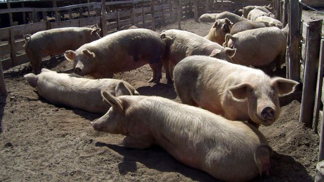 Las inversiones que acompañarían este desarrollo alcanzarían los u$s2.730 millones.