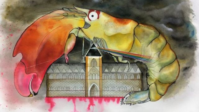 Descubren un nuevo camarón y lo nombran en homenaje a Pink Floyd