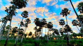 El Palmar recibe 175.000 turistas al año