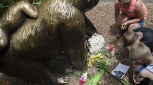 Matan a un gorila en un zoo y salvan a un niño