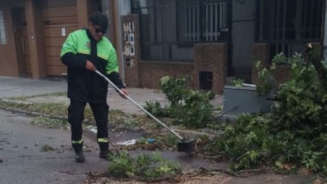 El fuerte viento de madrugada derribó árboles y tumbó columnas en Rosario