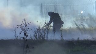 Incendios forestales