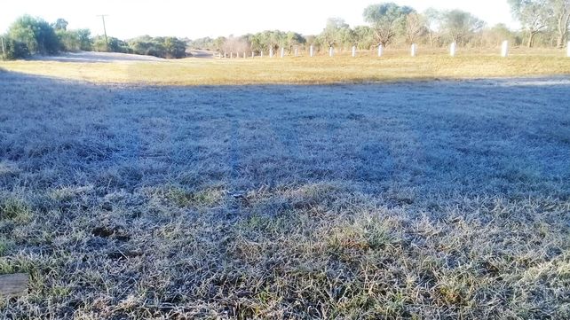 Los campos entrerrianos amanecieron con escarcha: ¿Cómo sigue el tiempo en Entre Ríos?