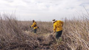 Incendios en islas del Delta: continúan los operativos&nbsp; 