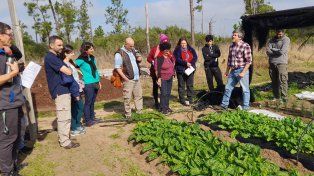 El cierre&nbsp;cortará numerosos planes de producción y formación para agricultores de pequeña escala.