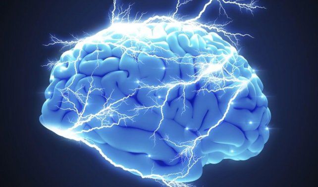 Así afecta el LSD al cerebro