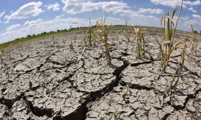 Emergencia agropecuaria en la provincia por la falta de lluvias
