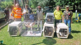 Rescataron aves silvestres y exóticas mantenidas ilegalmente en Gualeguay.