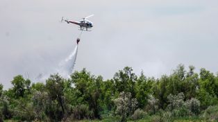 El helicóptero equipado con balde trabaja desde temprano en las islas. Este viernes los focos seguían activos.&nbsp;