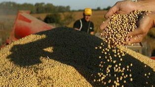 Fondo Soja: Santa Fe aportará $945.000 millones y recibirá sólo $74 millones