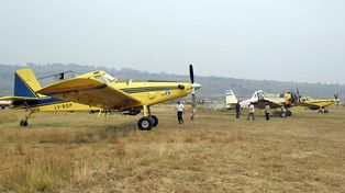 No cede el incendio de bosques en Chubut y claman por lluvias