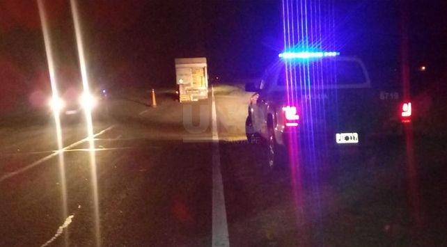 Un camionero chocó y mató a una vaca en la ruta nacional 11