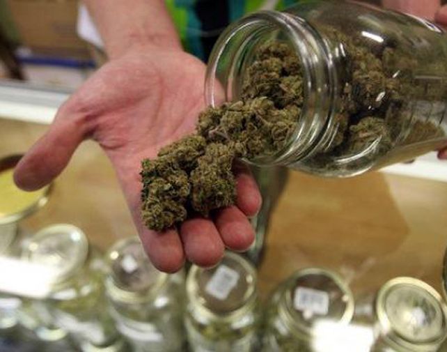 En Chile la marihuana figura en la normativa como una droga dura.