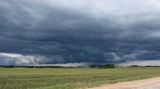 Clima y agro: las perspectivas para octubre y el seguimiento de El Niño