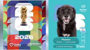 El álbum de figuritas alternativo, el de las mascotas