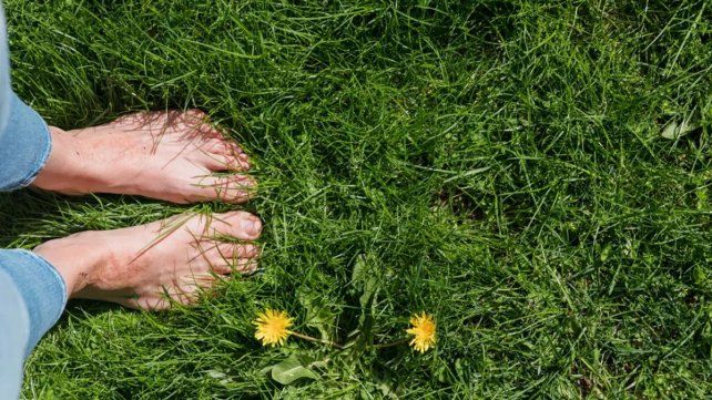La conexión con la naturaleza se presenta como una de las claves más trascendentales en la búsqueda de la felicidad La conexión con la naturaleza se presenta como una de las claves más trascendentales en la búsqueda de la felicidad