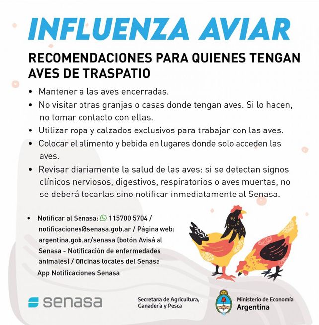 Gripe aviar: descartaron más casos sospechosos de Entre Ríos