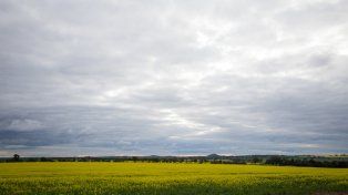 Sequía: el adelanto de las lluvias de primavera permitiría una temprana recarga del suelo