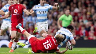 Los Pumas tuvieron una gran temporada 2025.