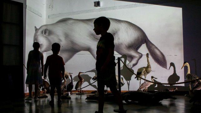 Una visita guiada permitirá conocer el patrimonio oculto del Museo Serrano
