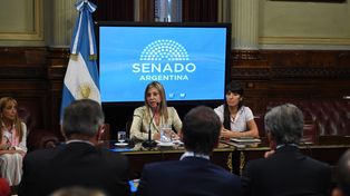 Sacnun: Esta ley es una mera declamación si no se defiende la industria nacional
