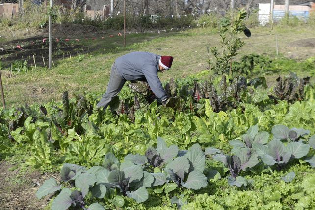“Cada vez se suman más familias de las que van llegando a Roldán desde Rosario”