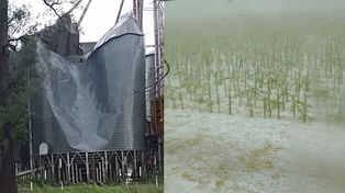 Lo que dejó el tornado que pasó por la ciudad de Villa Cañás.