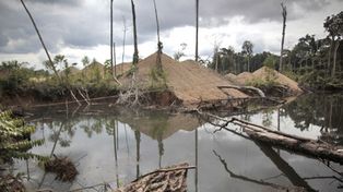 Los buscadores de oro causan estragos en el Amazonas peruano