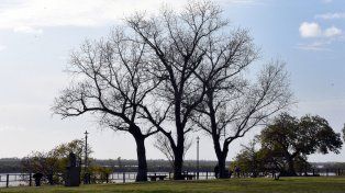 El tiempo en Rosario: un lunes con muchas nubes y registros cerca de los 30°
