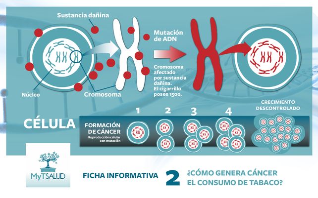 Cómo actúa el tabaco en la generación de cáncer