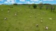 Tierras argentinas en manos extranjeras: qué departamento de la provincia de Santa Fe ya supera el límite legal