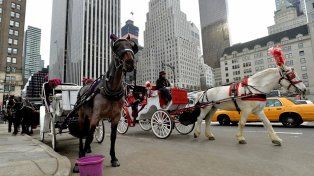 Fin de un ícono turístico de Nueva York: prohibirán los carros tirados por caballos