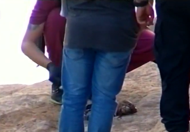(Foto: captura de TV)